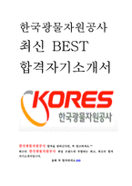 한국광물자원공사 KORES 최신 BEST 합격 자기소개서!!!!-1