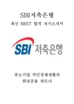 SBI저축은행 최신 BEST 합격 자기소개서!!!!-1
