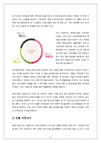 빈폴아웃도어 브랜드분석과 독일시장진출 마케팅전략 제안-4