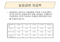 고용보험(실업대책, 고용보험제도, 고용보험사업, 실업급여사업, 모성보호사업) 파워포인트 PPT-8