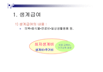 기초생활보장법의 급여와 기타 공공부조 관련법 PPT 파워포인트-3