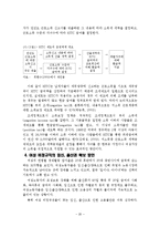 비정규직 여성의 실태와 법적 해결 방안-20