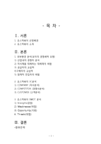 죠스떡볶이 브랜드분석과 죠스떡볶이 1위위한 성장전략분석-2