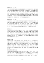 조직이론 레포트-13