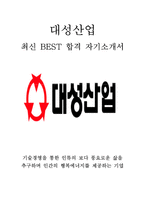 대성산업 회계 재무 최신 BEST 합격 자기소개서!!!!-1
