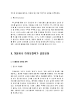 카페베네 마케팅전략분석과 카페베네 문제점분석과 향후전략제안,카페베네 하이브리드 마케팅전략 적용사례-12