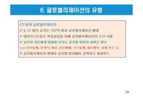 글로벌리제이션의 유형과 논쟁-19