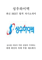 성우하이텍 재경 최신 BEST 합격 자기소개서!!!!-1