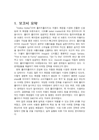 홀리카홀리카 브랜드분석및 마케팅사례분석과 홀리카홀리카 새로운 마케팅전략 제안-3