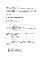 홀리카홀리카 브랜드분석및 마케팅사례분석과 홀리카홀리카 새로운 마케팅전략 제안-5
