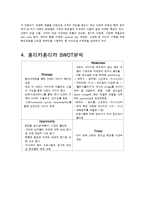 홀리카홀리카 브랜드분석및 마케팅사례분석과 홀리카홀리카 새로운 마케팅전략 제안-7