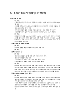 홀리카홀리카 브랜드분석및 마케팅사례분석과 홀리카홀리카 새로운 마케팅전략 제안-8