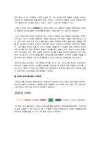 빙그레 CRM(고객관계관리) 성공사례분석 빙그레와 CRM 문제점및 해결방안-11
