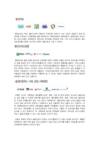 빙그레 CRM(고객관계관리) 성공사례분석 빙그레와 CRM 문제점및 해결방안-12
