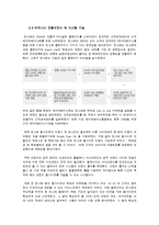 빙그레 CRM(고객관계관리) 성공사례분석 빙그레와 CRM 문제점및 해결방안-19