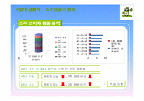 처음처럼 기업분석과 처음처럼 마케팅 SWOT,STP,4P전략분석및 처음처럼 향후과제와 전략방향-10