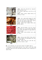 신제품 마케팅 기획보고서(유아용 차 Tea 신제품개발) 신제품 마케팅전략-12