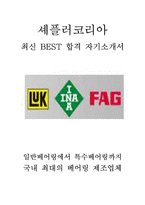 셰플러코리아 인사 최신 BEST 합격 자기소개서!!!!-1