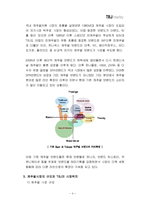 TBJ 브랜드분석및 마케팅사례분석과 TBJ 새로운 마케팅 전략제안-5