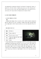 나이키 친환경 마케팅 경영전략 사례분석과 나이키 새로운 마케팅전략 제안-11