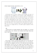 나이키 친환경 마케팅 경영전략 사례분석과 나이키 새로운 마케팅전략 제안-13