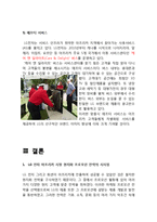 LG 휘센 아프리카시장진출 성공위한 현지화 마케팅전략분석과 휘센 프로모션 전략분석-13