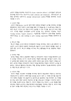 경영자의 역할과 가져야할 관리 기술에 대하여 설명하시오-3