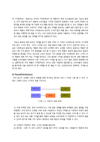 신제품개발 마케팅전략기획서(SWOT,STP,4P)- 두뇌활동 증진음료-17