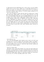 현대자동차 인도시장 진입위한 마케팅전략분석과 현대자동차 인도진출 성공사례분석(현대자동차 글로벌마케팅 사례분석)-11