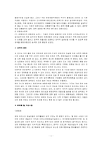 [정책학] 문화정책-3