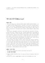 [조직관리] 계층제,관료제,애드호크라시-7