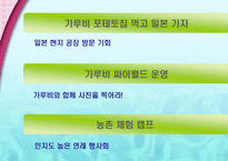 [광고홍보론- pr론] 해태 가루비 전략 SHOW-10