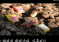 [광고홍보론- pr론] 해태 가루비 전략 SHOW-16