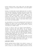 [국제경영] 월마트에 대한 해외진출사례분석-3