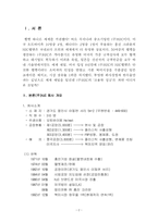 [국제경영론](주)홍진크라운(헬멧제조업체) 마케팅성공사례-2
