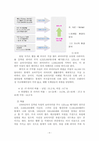 [국제경영론](주)홍진크라운(헬멧제조업체) 마케팅성공사례-8