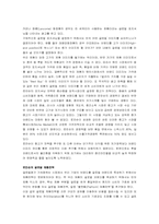 [글로벌브랜드] 로만손을 중심으로 글로벌브랜드에 대해-4