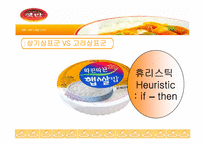 [마케팅] 소비자의사결정과정에 따른 햇반의 마케팅전략분석-13