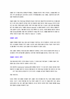 [브랜드전략] 빈폴의 브랜드 성공요인분석 과 전략-4