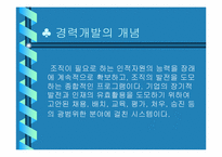 [인적자원개발] 포스코의 경력개발-2