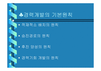 [인적자원개발] 포스코의 경력개발-3