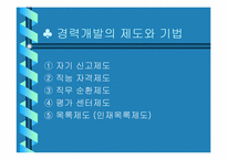 [인적자원개발] 포스코의 경력개발-4