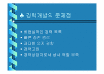 [인적자원개발] 포스코의 경력개발-20