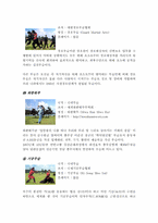 [관광축제] 충주의 세계무술축제에 대하여-6