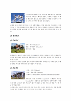 [관광축제] 충주의 세계무술축제에 대하여-11