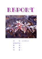 [서비스마케팅] 기업체의 서비스마케팅- LG텔레콤 KTF-1