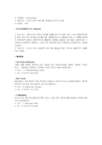 [서양문화] `상트페테르부르크`에 대해서-12