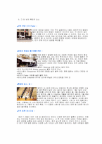 [서양문화] `오스트리아빈`에 관하여-6