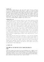 [서양문화] 피렌체에 대해서-2