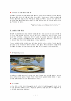 서양에티켓 레포트-17